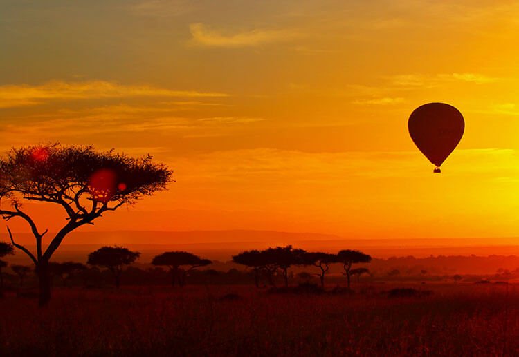 Sunrise Hot Air Balloon Safari