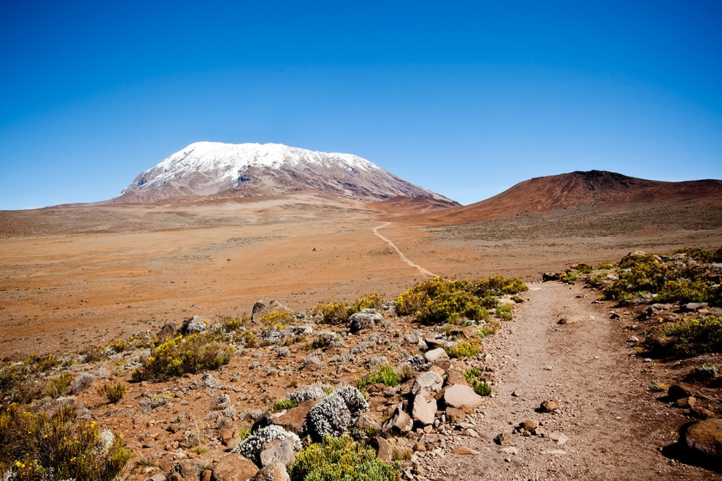 Alpine Desert Landscape