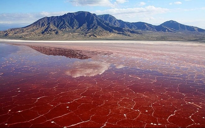 Red Soda Lake Textures
