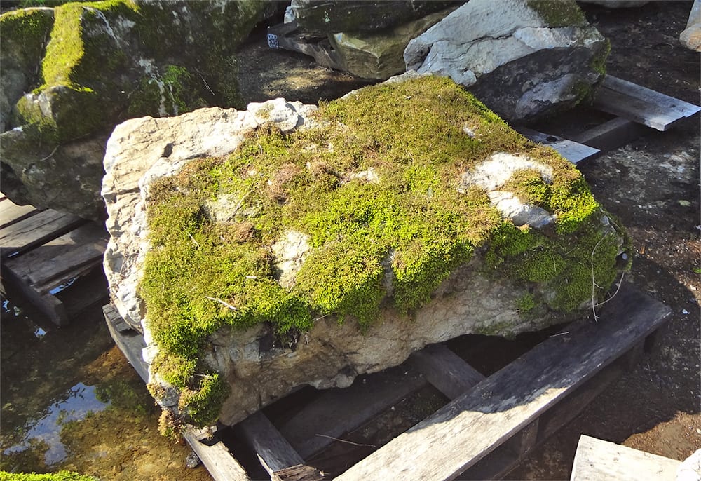 Riverbed Moss Boulders
