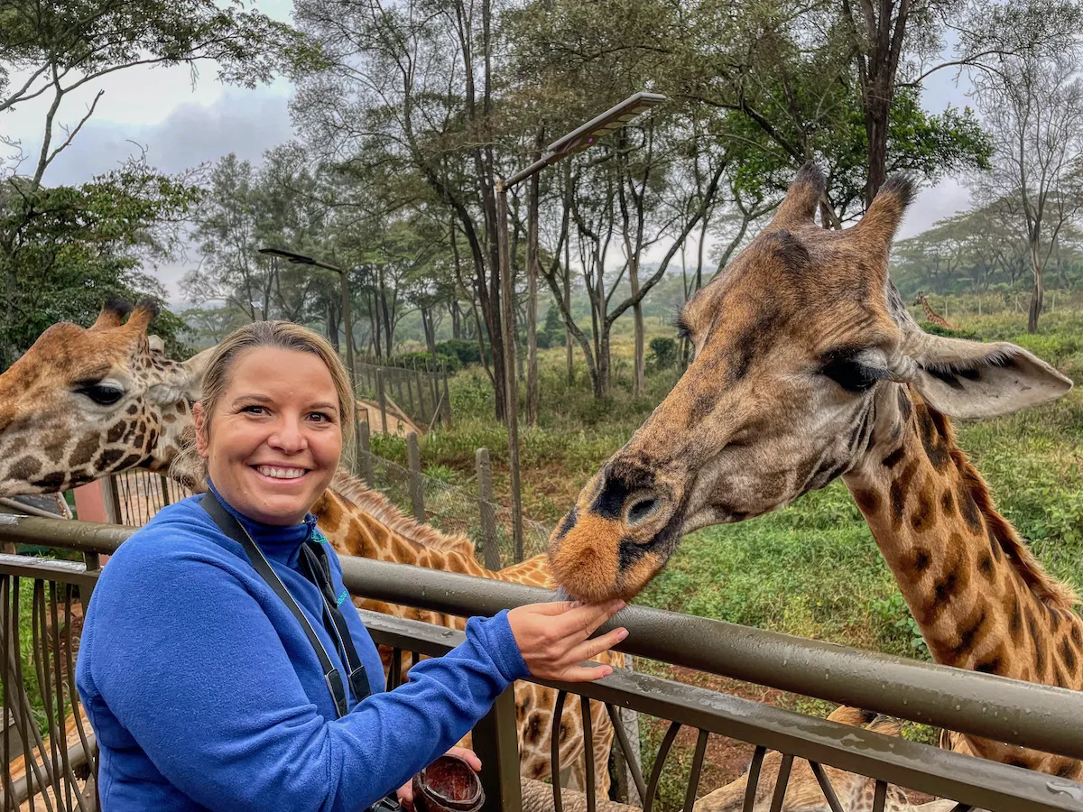 Nairobi Giraffe Encounter and Sheldrick Wildlife Trust