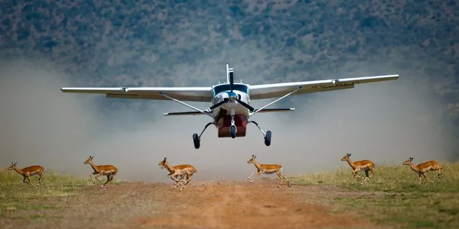 Great Migration Crossings and Serengeti Plains