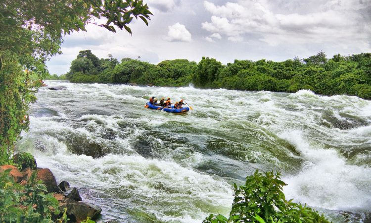 Mountain Gorilla Trekking and Nile River Rafting Adventure