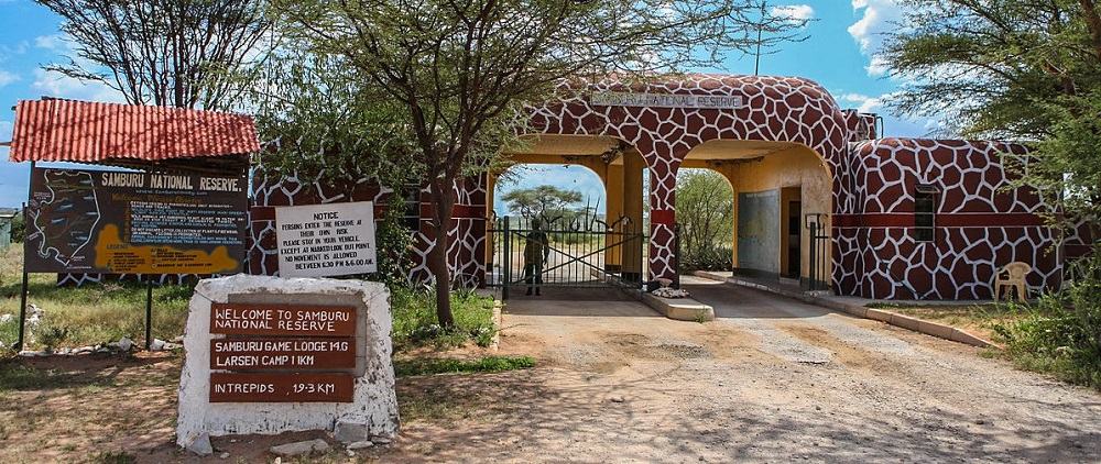 Journey to Samburu National Reserve