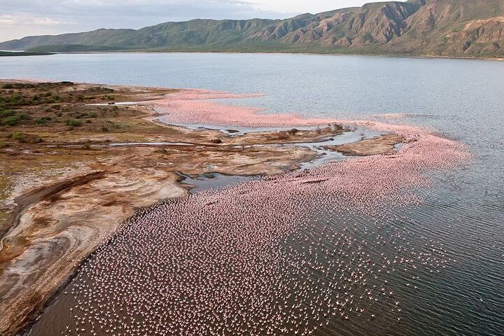 Lake Nakuru Alkaline Flats