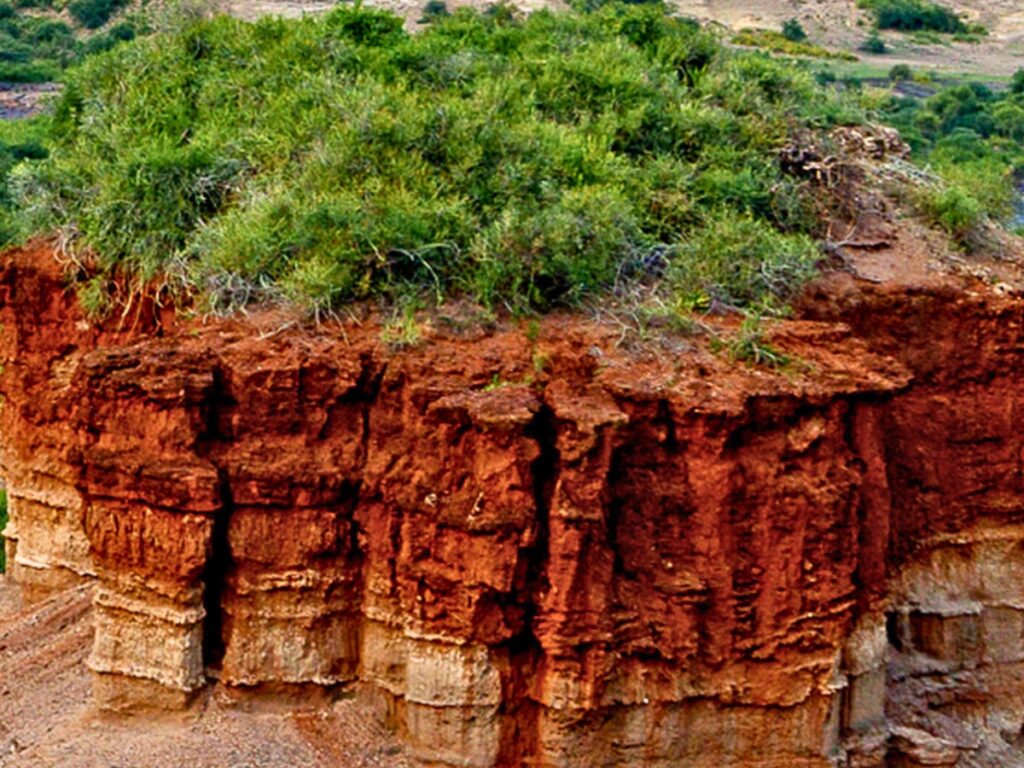 Ngorongoro Crater Floor Caldera Closeout