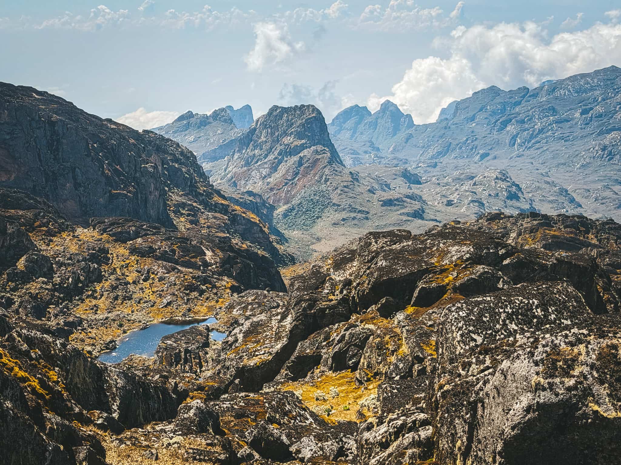Final Ridge Descent to Rwenzori Base