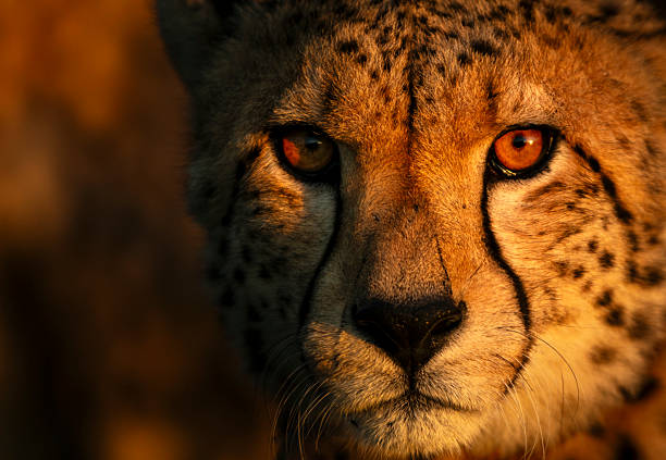 Kenya
